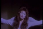 mehmet piskin - kate bush - paslanmaz kalem