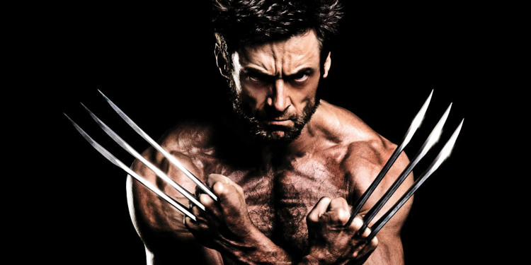 wolverine - paslanmaz kalem